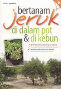 Image of Bertanam Jeruk didalam POt dan dikebun