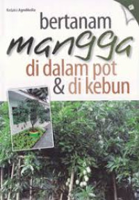 Image of Bertanam Mangga didalam Pot dan dikebun